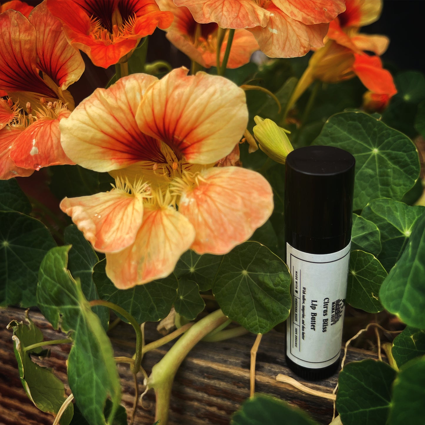Citrus Bliss Lip Butter